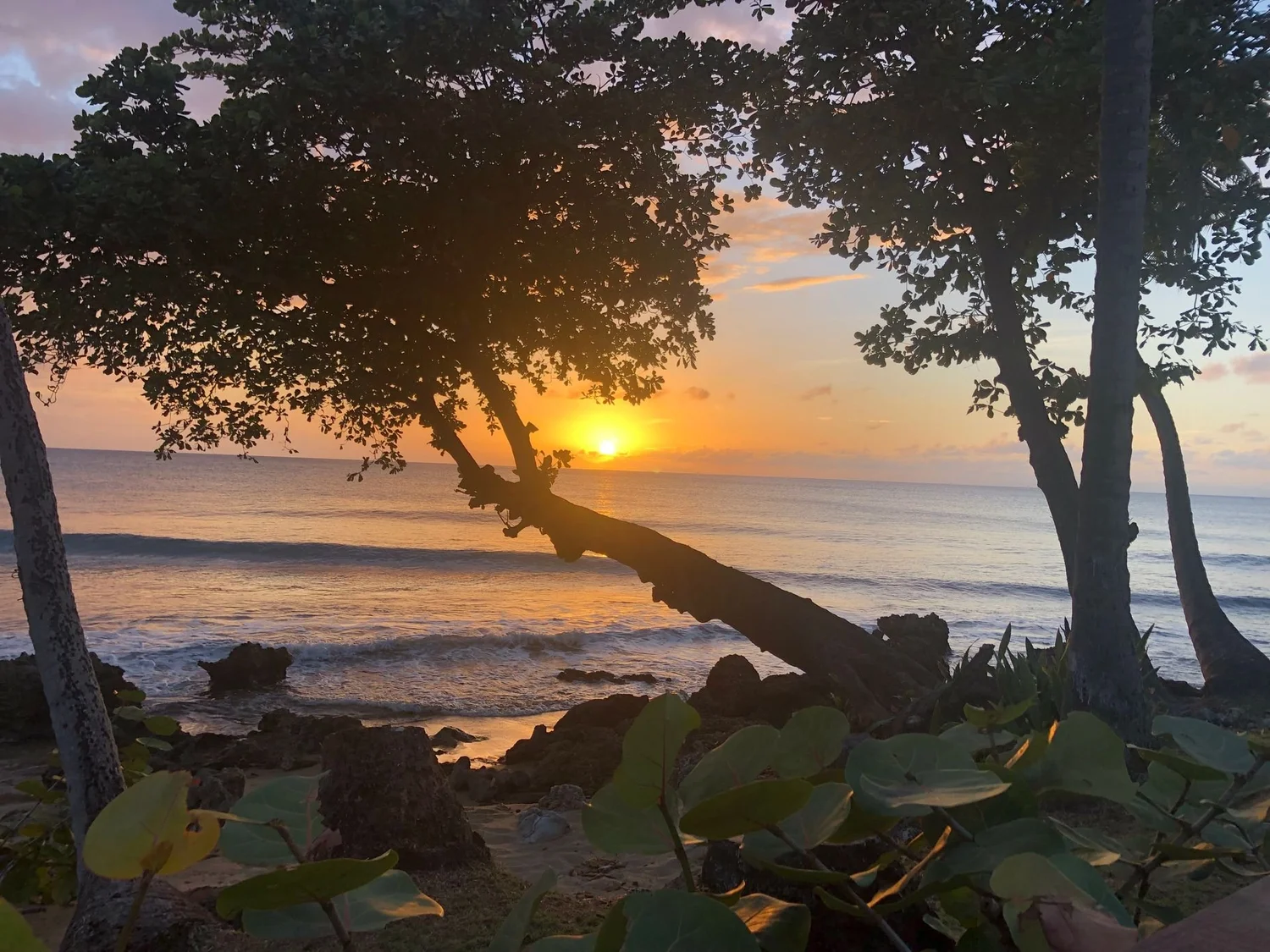 What do you need to know before traveling to Puerto Rico photo 3