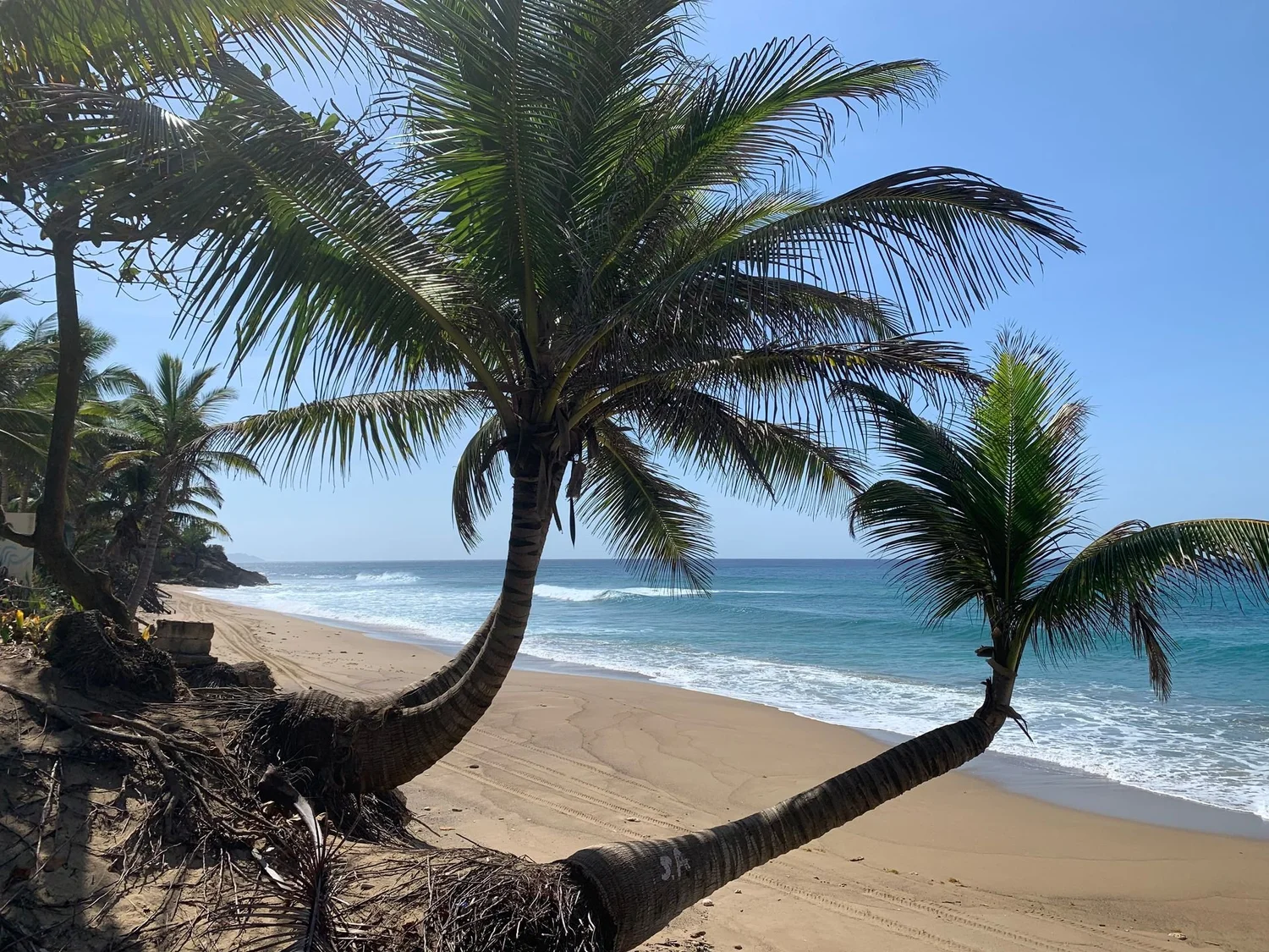 Safest beaches for swimming in Puerto Rico photo 1