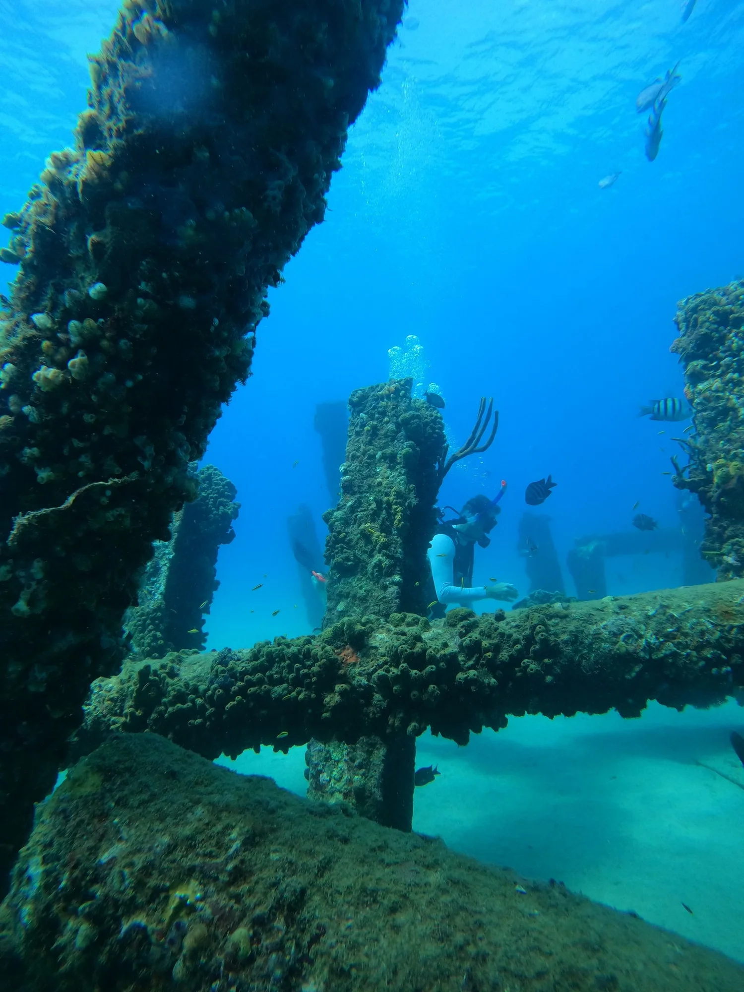 Crash Boat Beach photo 3