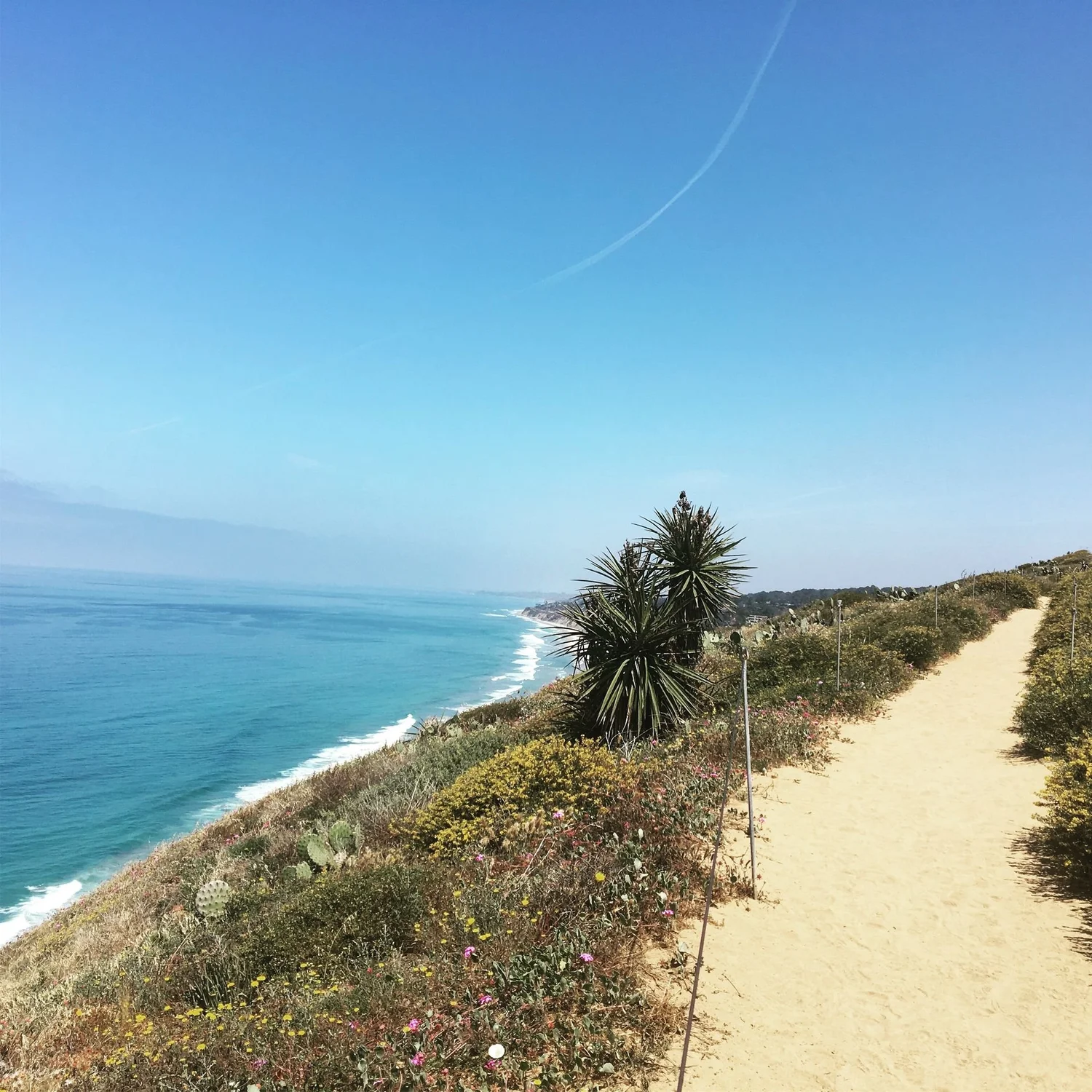 Where to stay and what to do in San Diego photo 6