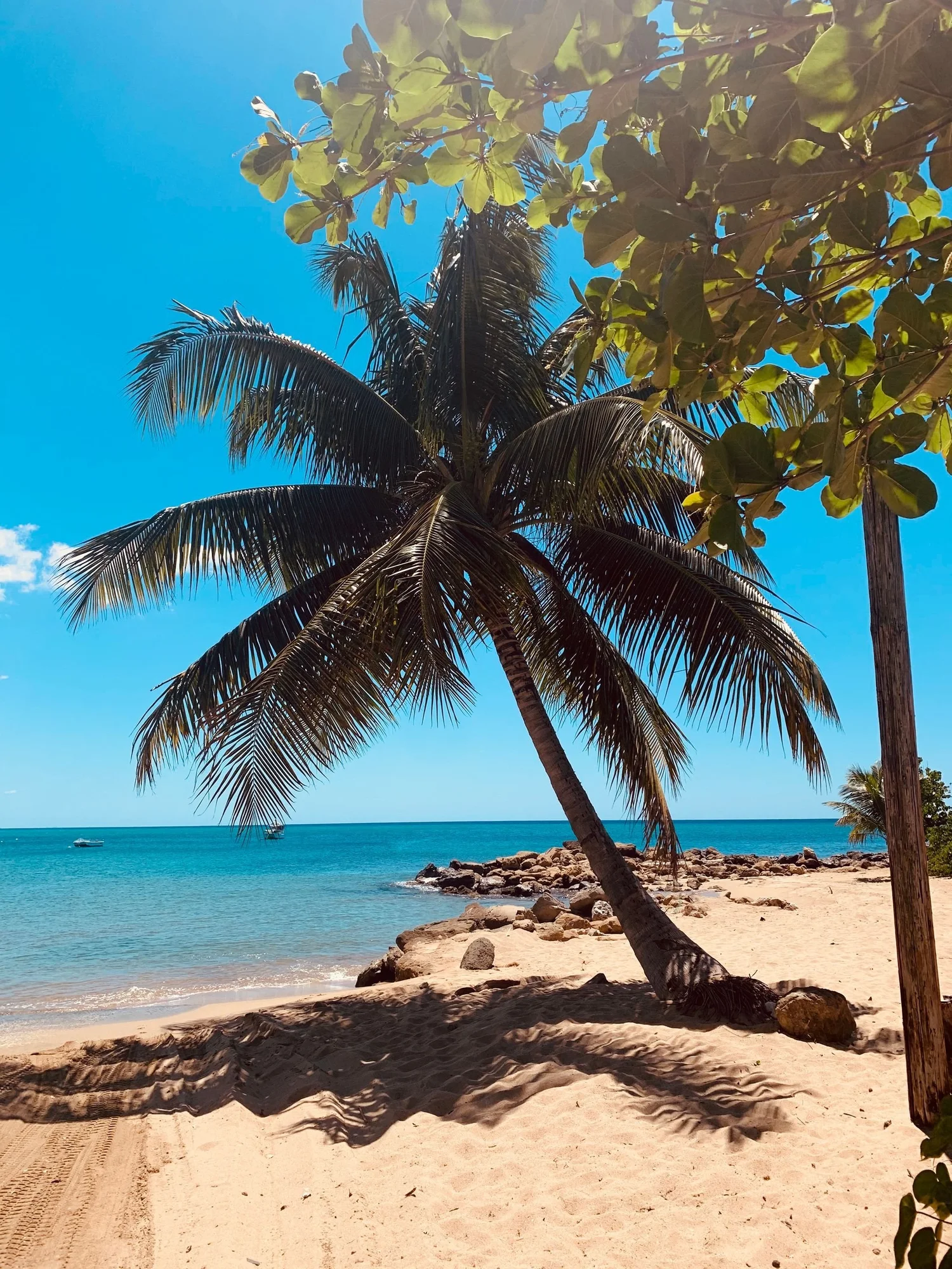 Great things to do in Rincón, Puerto Rico photo 2