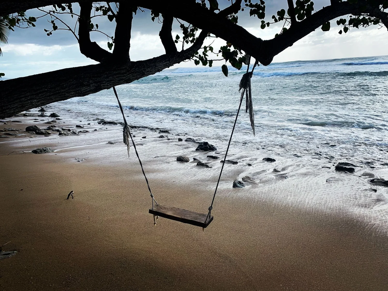 Great things to do in Rincón, Puerto Rico photo 6