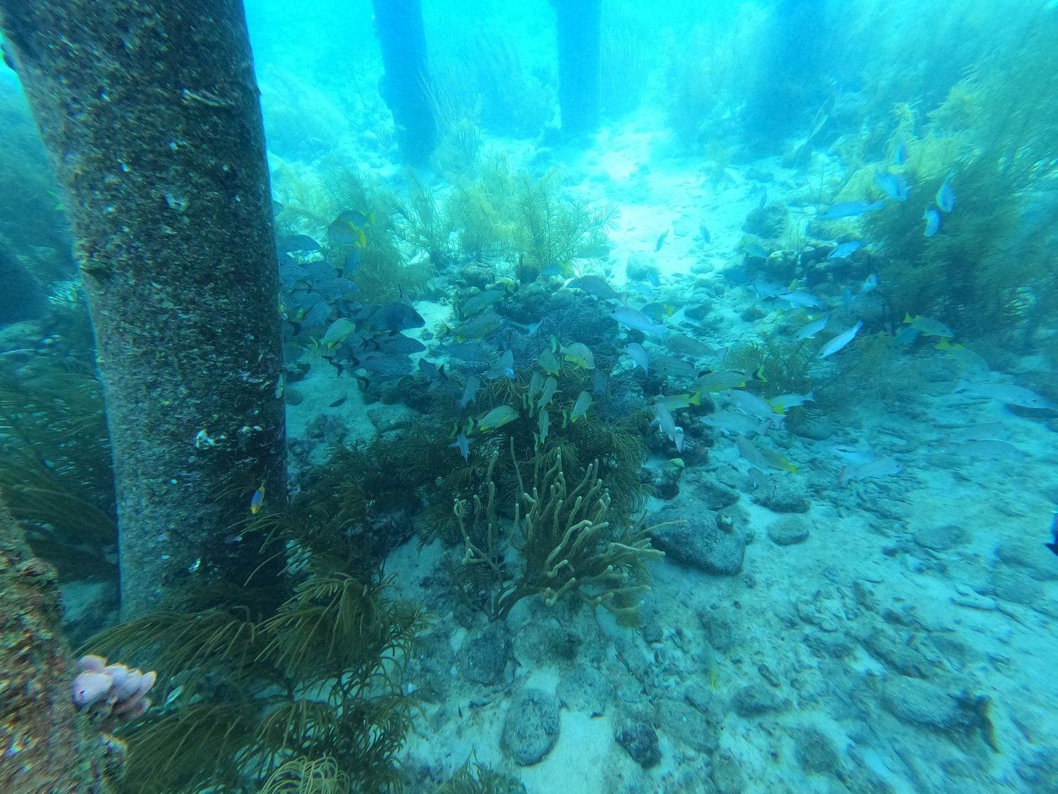 The best places to stay and things to do on Bonaire photo 3