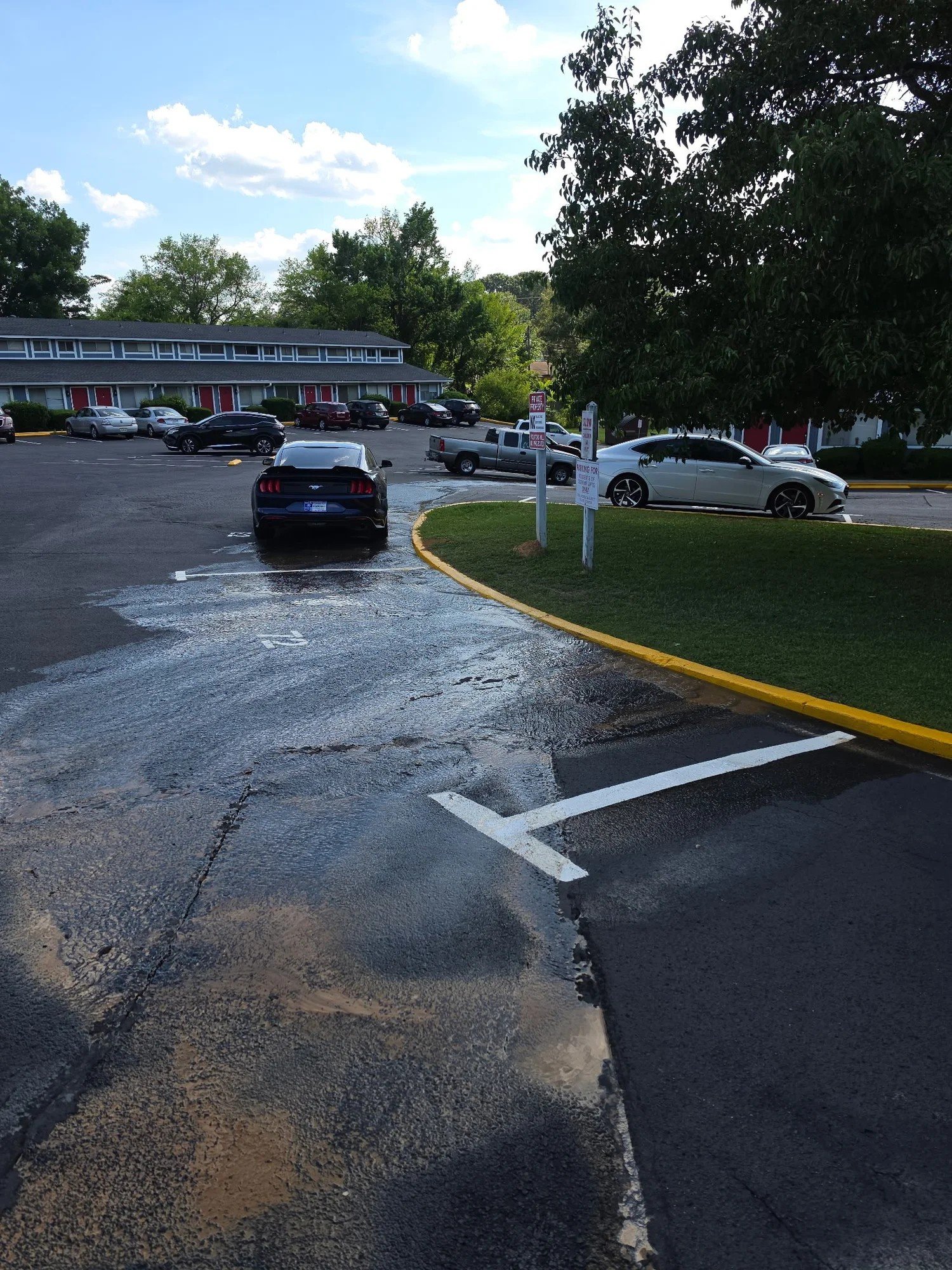 The sewer line lesson that cost me over $30,000