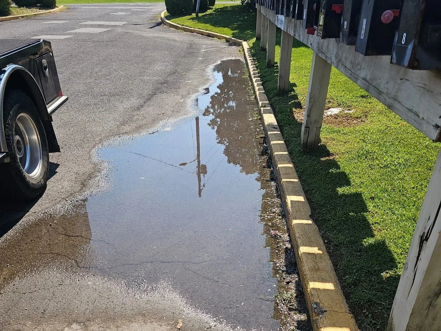 The sewer line lesson that cost me over $30,000