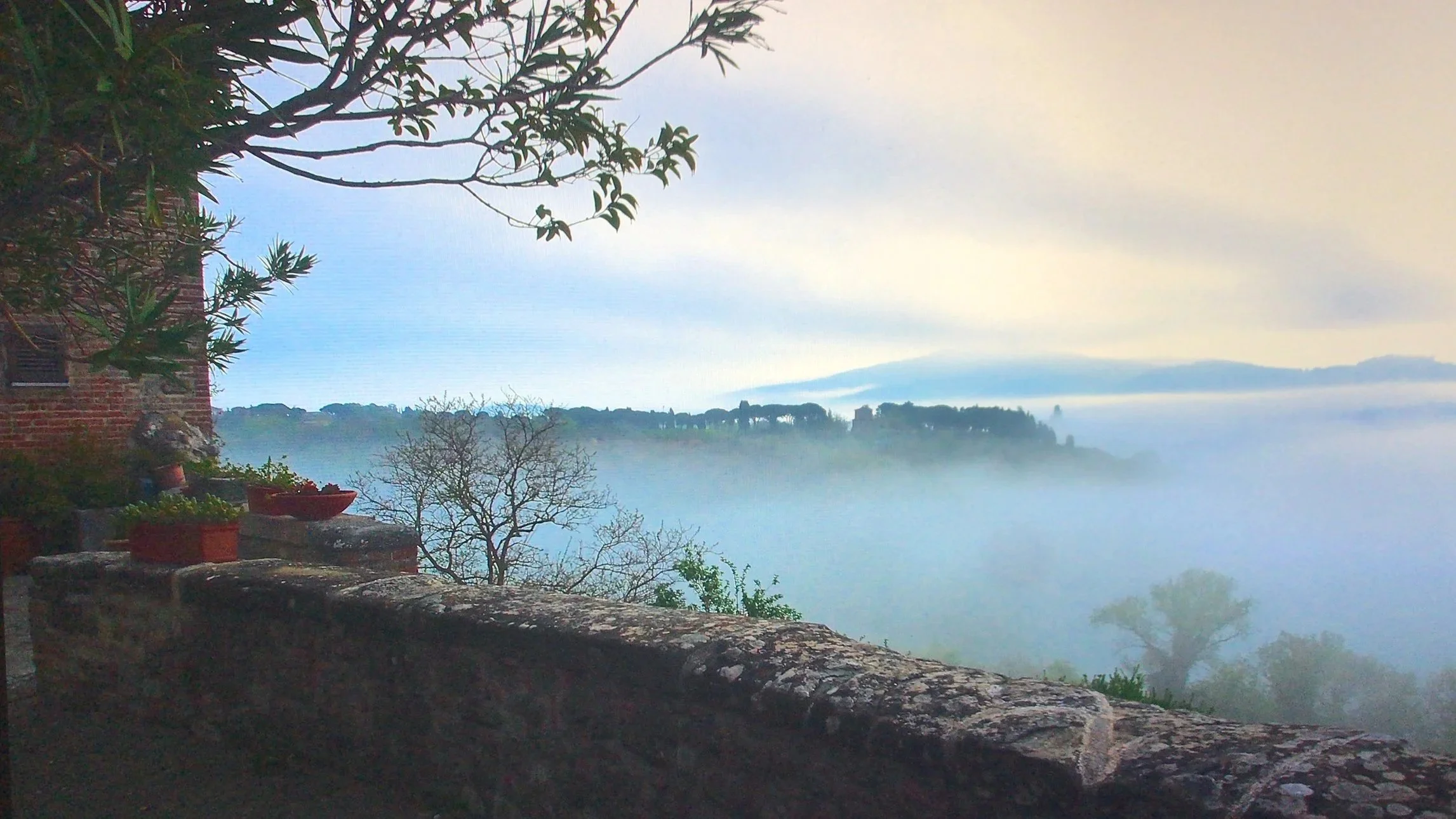 A misty view of a valley covered with fog and distant trees, seen from a terrace with potted plants and an old brick wall in the foreground.