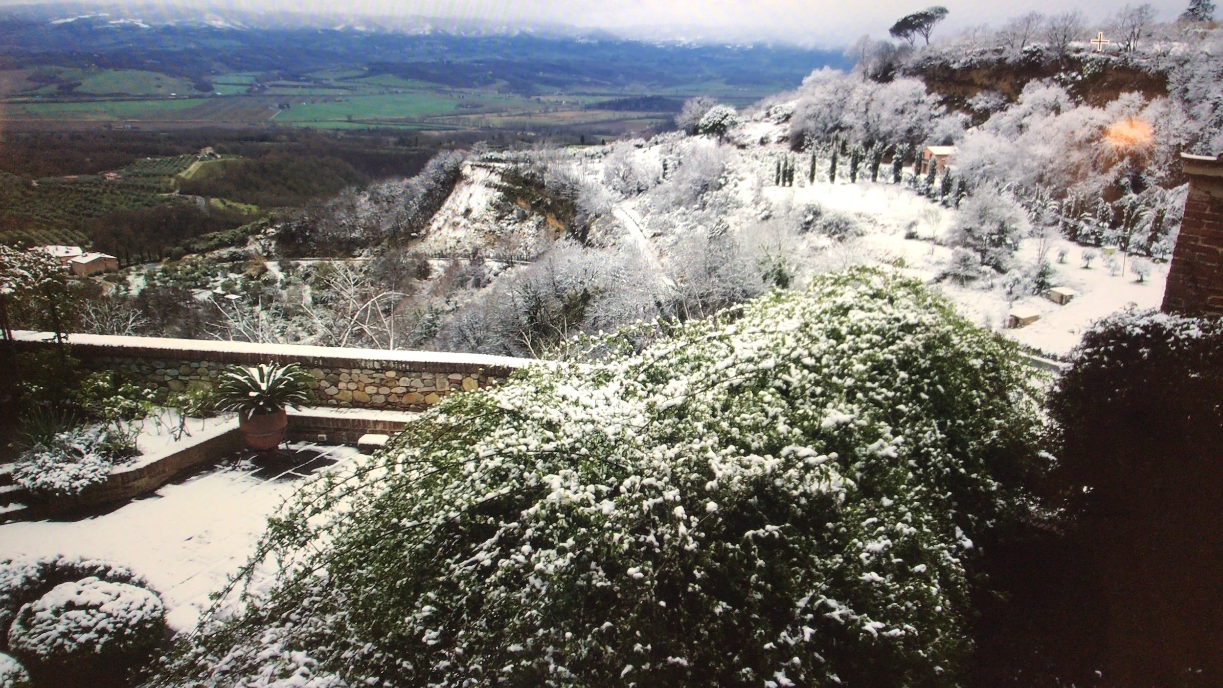 A scenic view of a snow-covered hillside with trees, bushes, and a stone wall in the foreground, and rolling green fields and distant hills in the background.