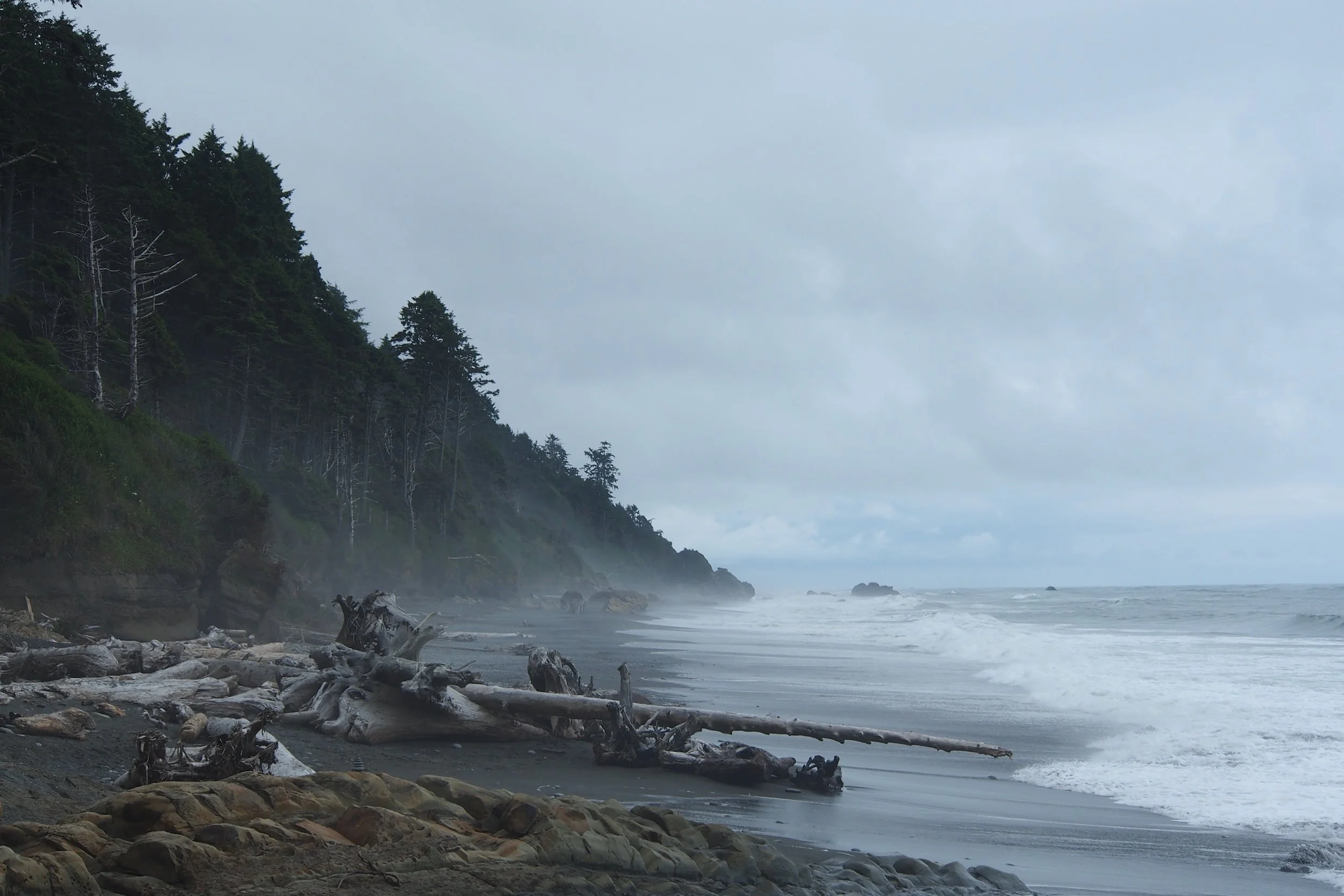 A rocky beach with driftwood logs along the shore, fog over the ocean, and a forested hillside on the left side.