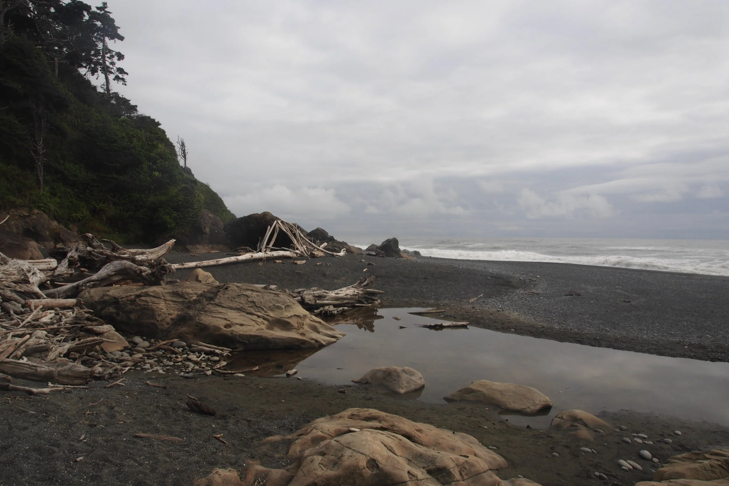 A cloudy day at a rocky shoreline with driftwood and a small tide pool, surrounded by a forested hillside.