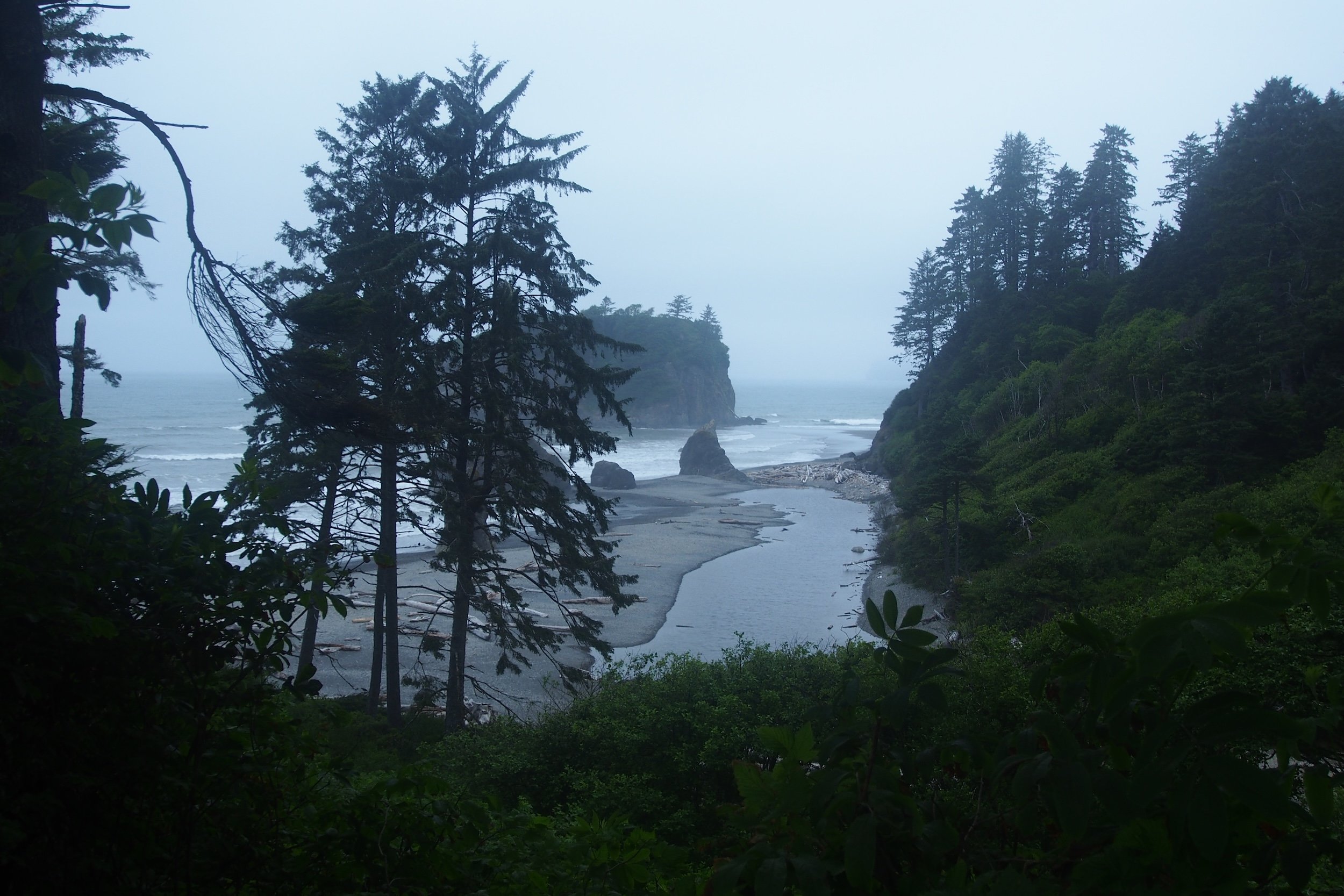 A view of a misty coastline with dense evergreen trees on both sides, a small river flowing into the ocean, rocky formations near the water, and a hazy overcast sky.
