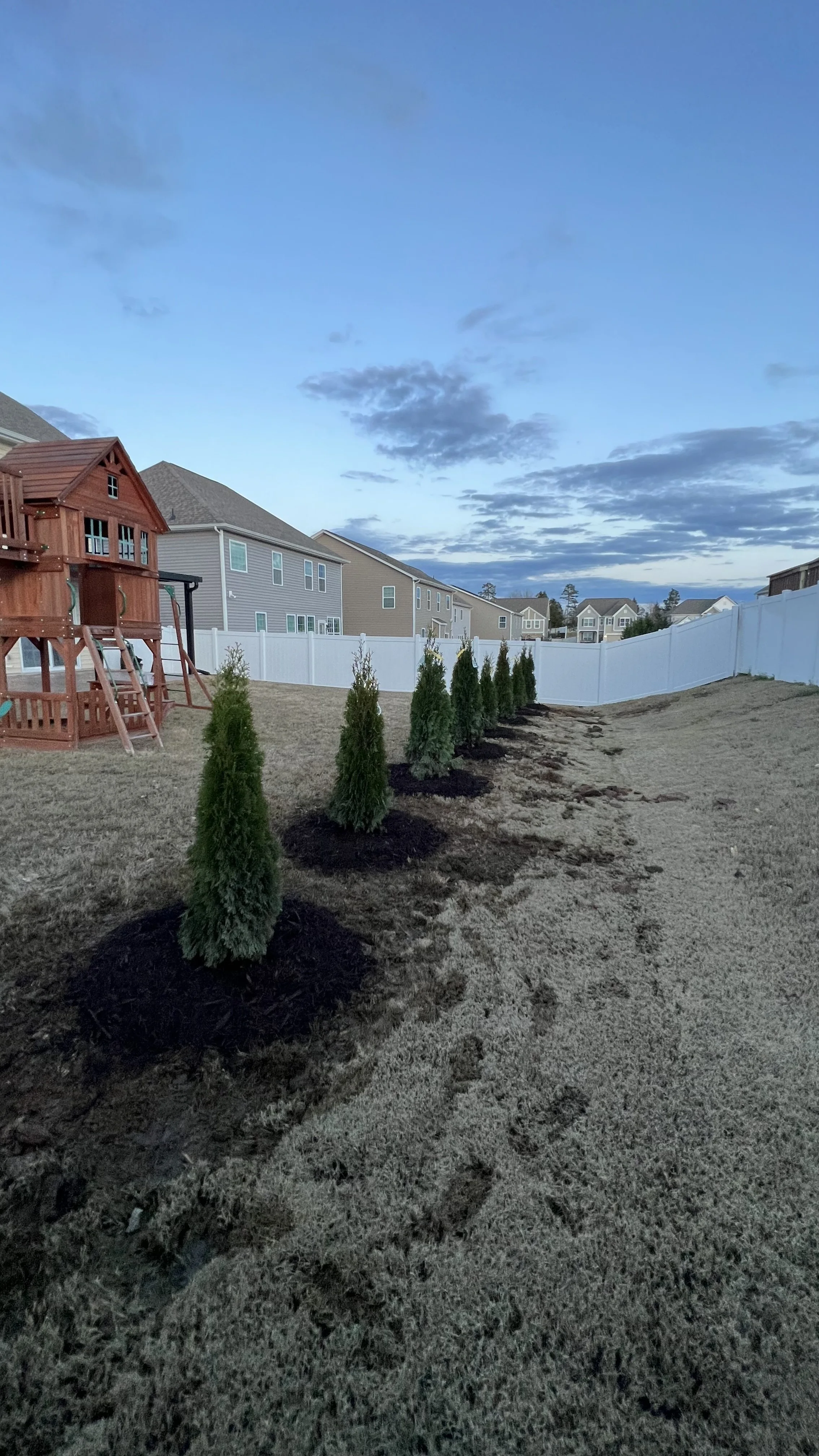 A backyard with a wooden playset, a row of small evergreen trees, and a white fence under a partly cloudy sky during dusk.