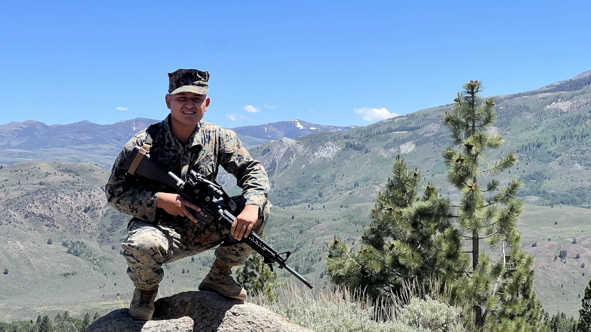 A soldier in camouflage uniform holding a rifle in a mountainous landscape with a blue sky and a small pine tree in the foreground.