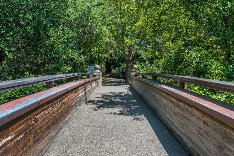 A pathway in a park with wooden railings on both sides, surrounded by lush green trees and foliage.