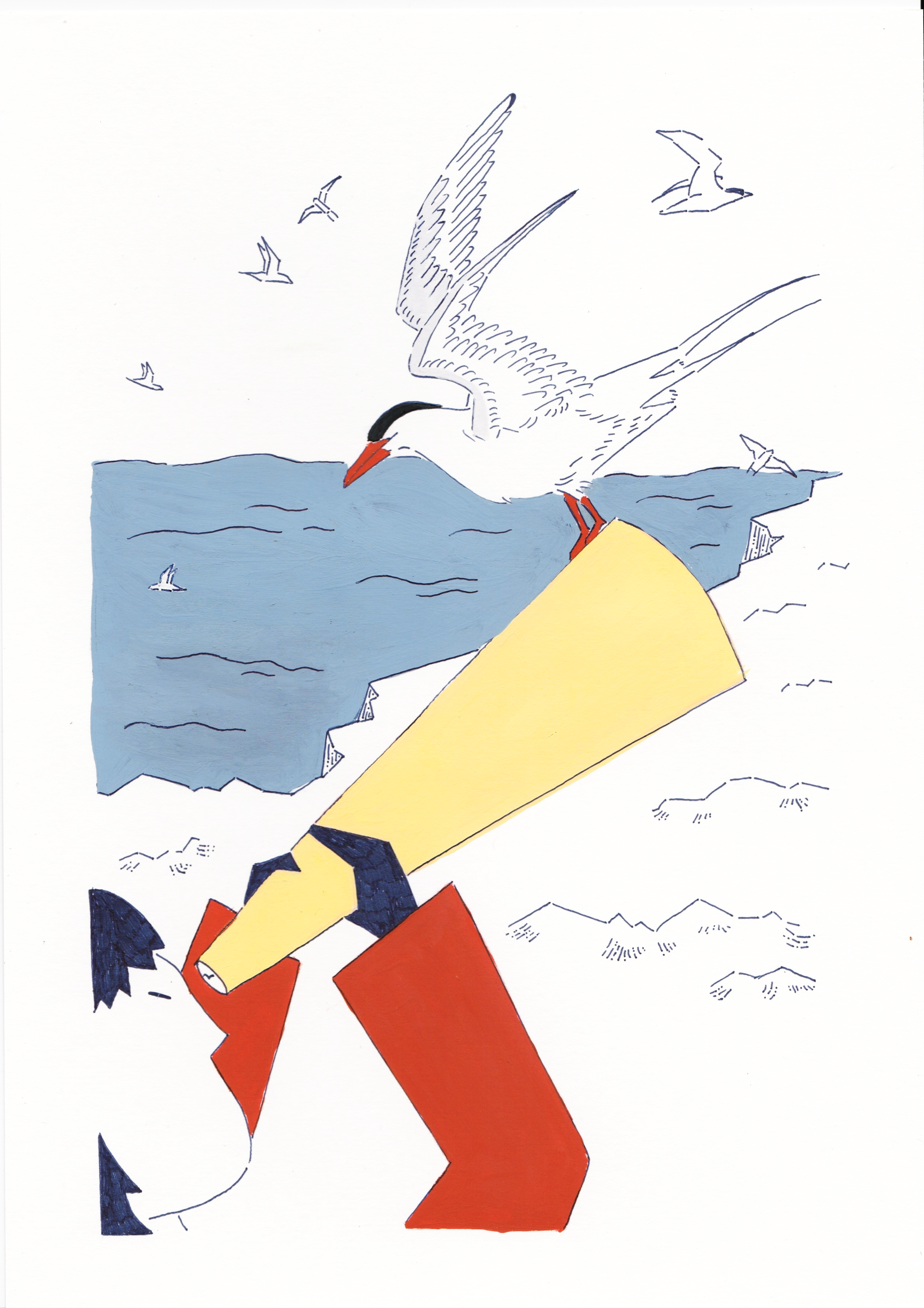 Birdwatcher looking for migrating arctic terns by Eva Sophia