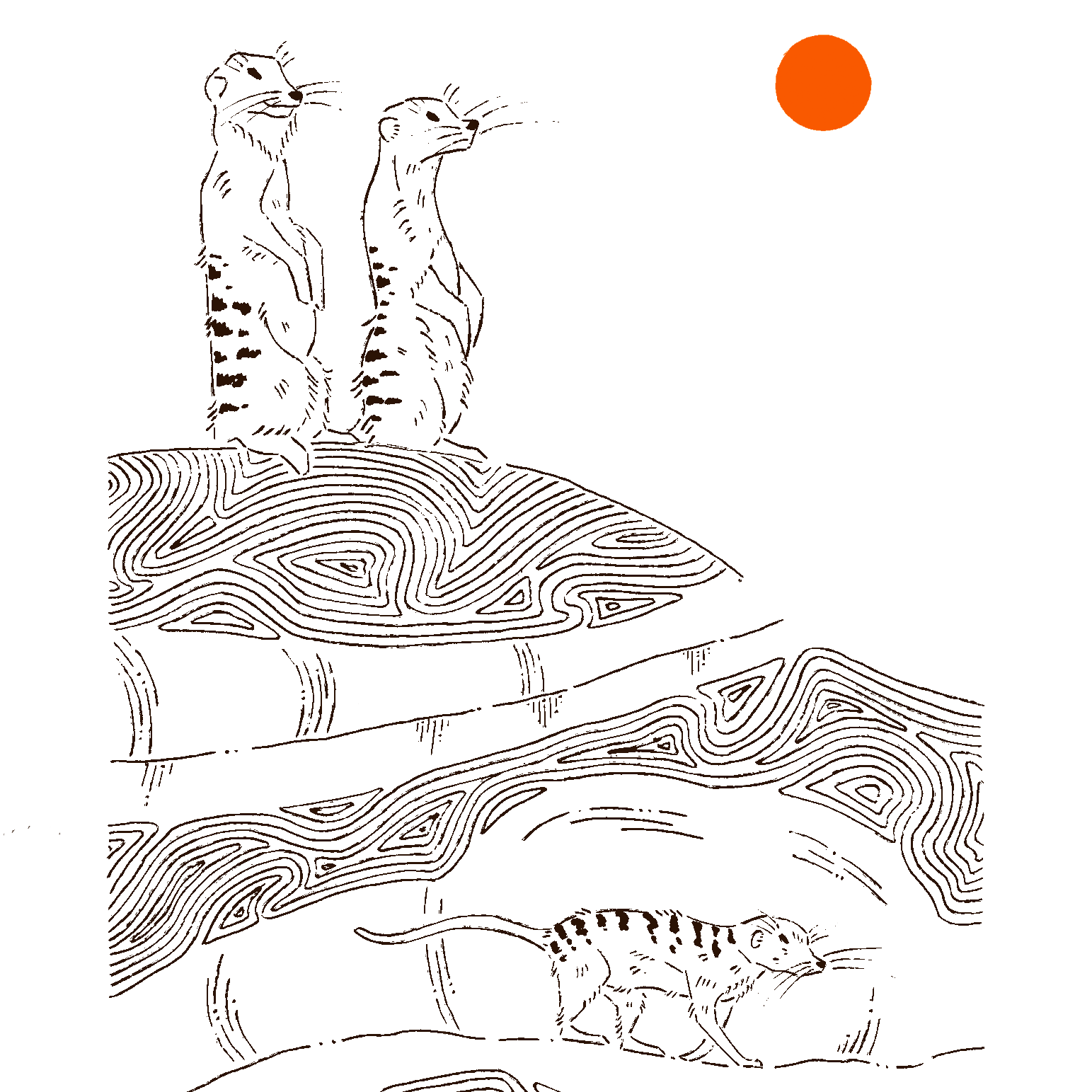 The Meerkat Patrol