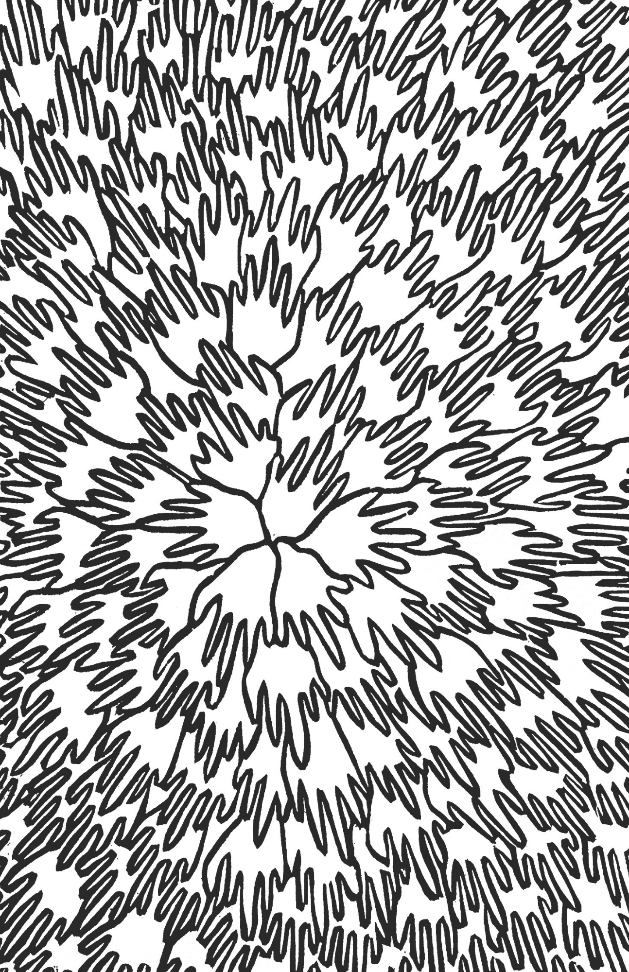 Collaborative Zine - Summer 2026