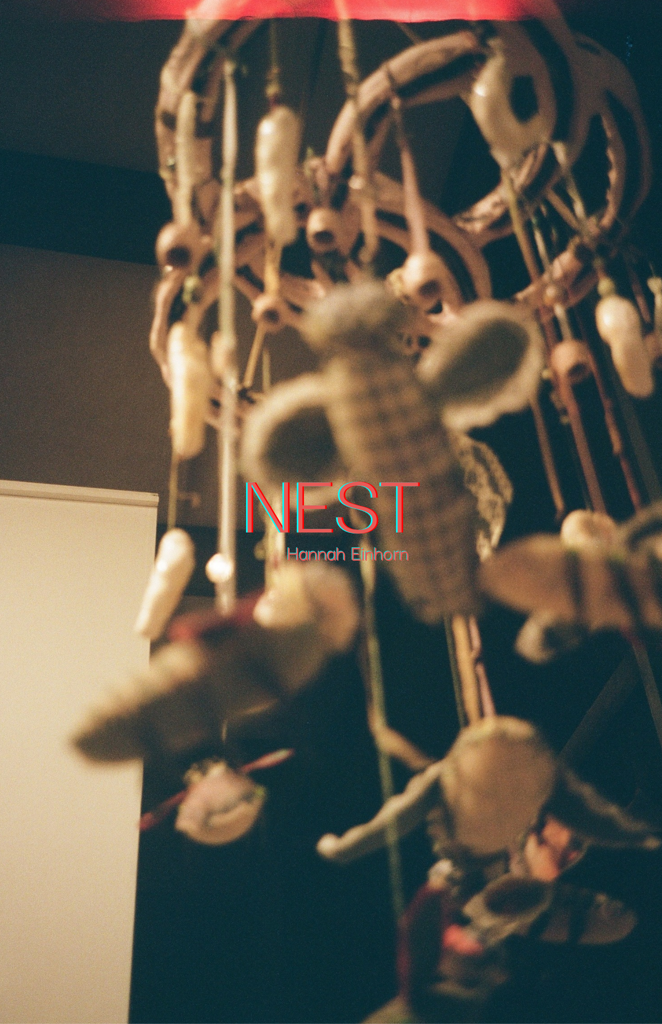 Nest by Rhu Blue + Hannah Elizabeth Einhorn