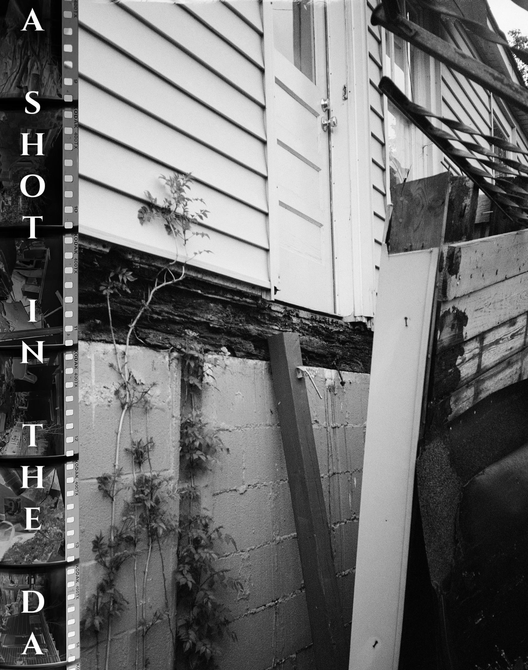 A Shot in the Dark by Rhu Blue