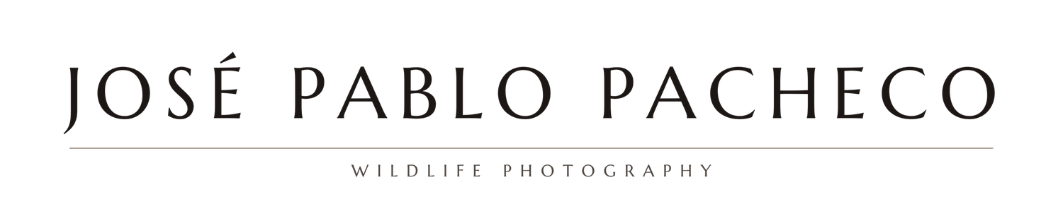 Your Site Title