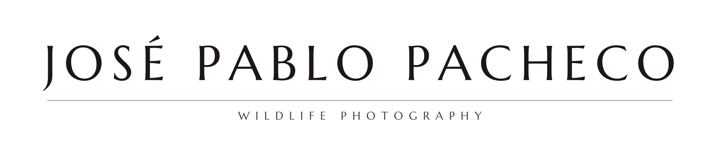 Logo for José Pablo Pacheco Wildlife Photography