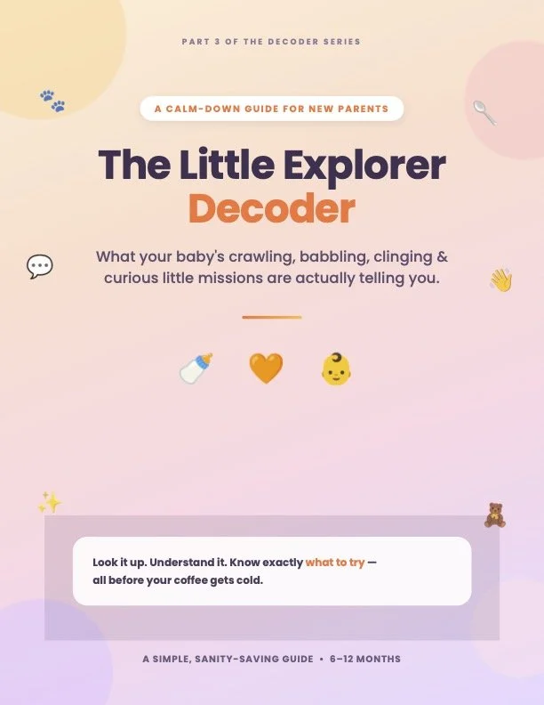 The Little Explorer