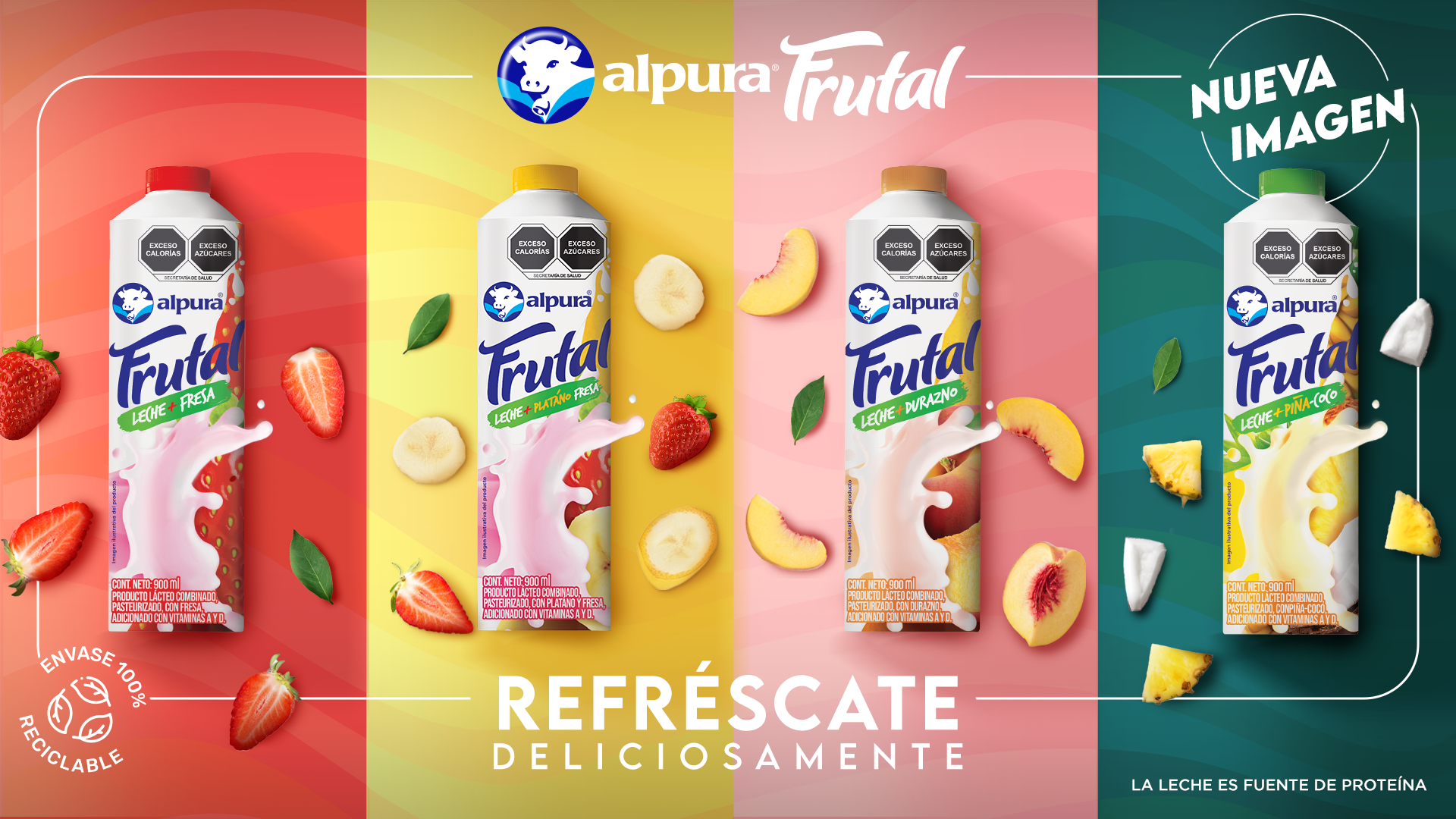behance_img_2.png