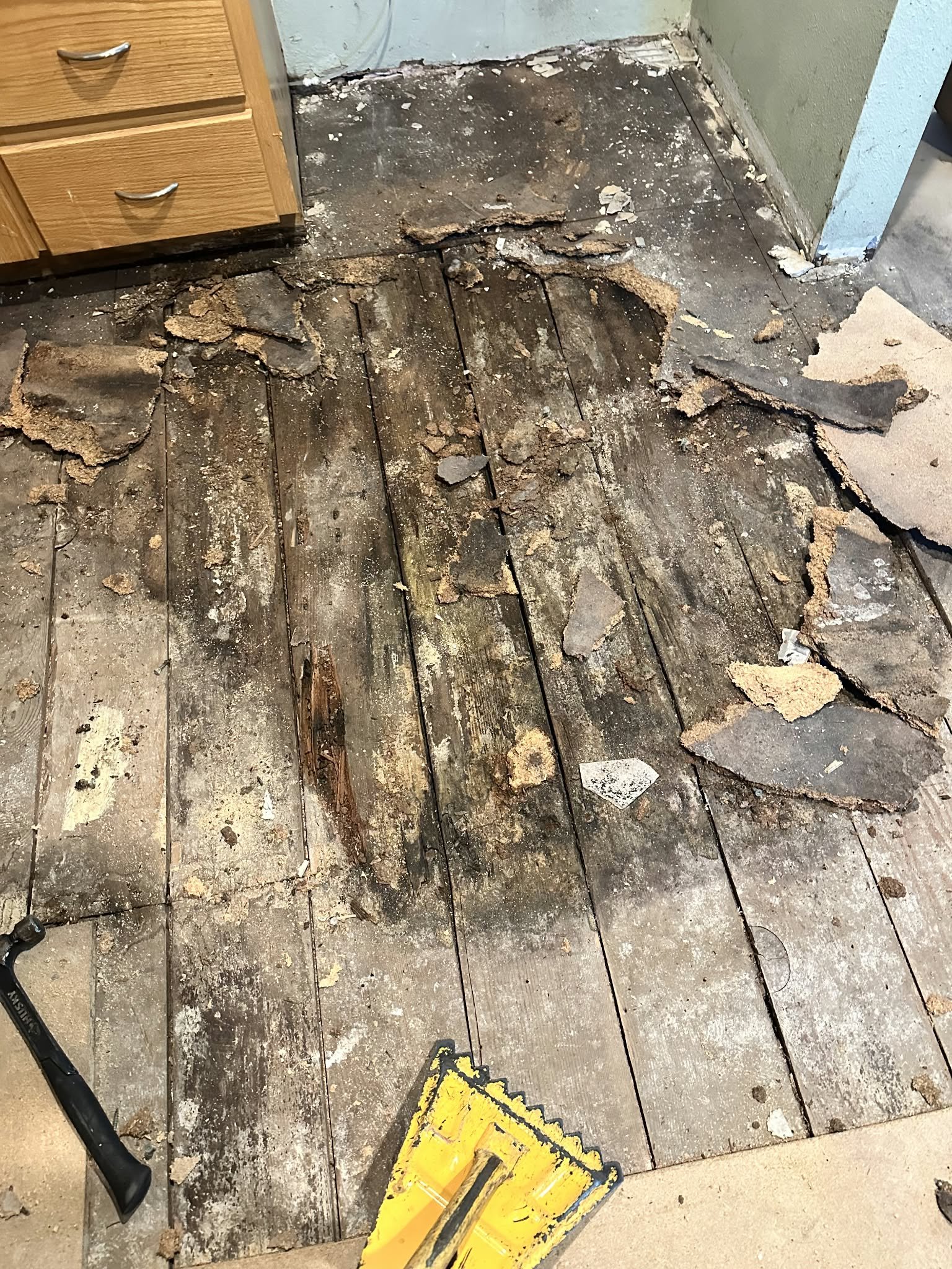 Rotted Flooring