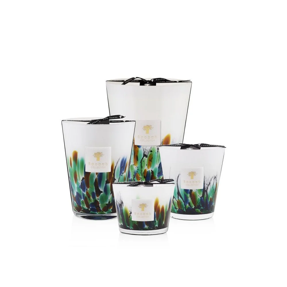 Baobab Collection Rainforest Amazonia Scented Candle (Limited Edition)