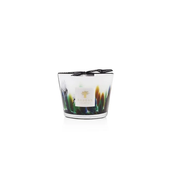 Baobab Collection Rainforest Amazonia Scented Candle (Limited Edition)