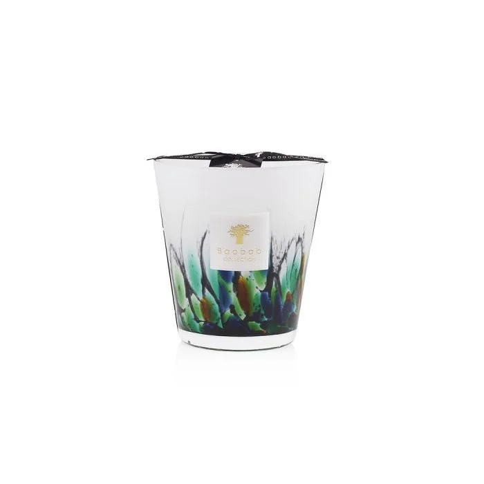 Baobab Collection Rainforest Amazonia Scented Candle (Limited Edition)