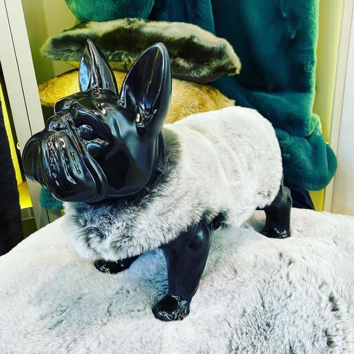Evelyne Prélonge Faux Fur Dog Coat in Glacier, worn by a small dog