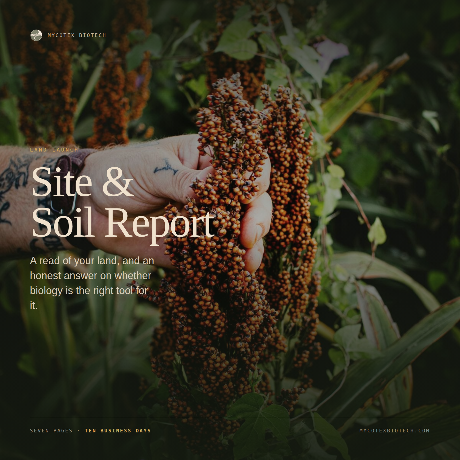 Site & Soil Report: Land Launch Assessment