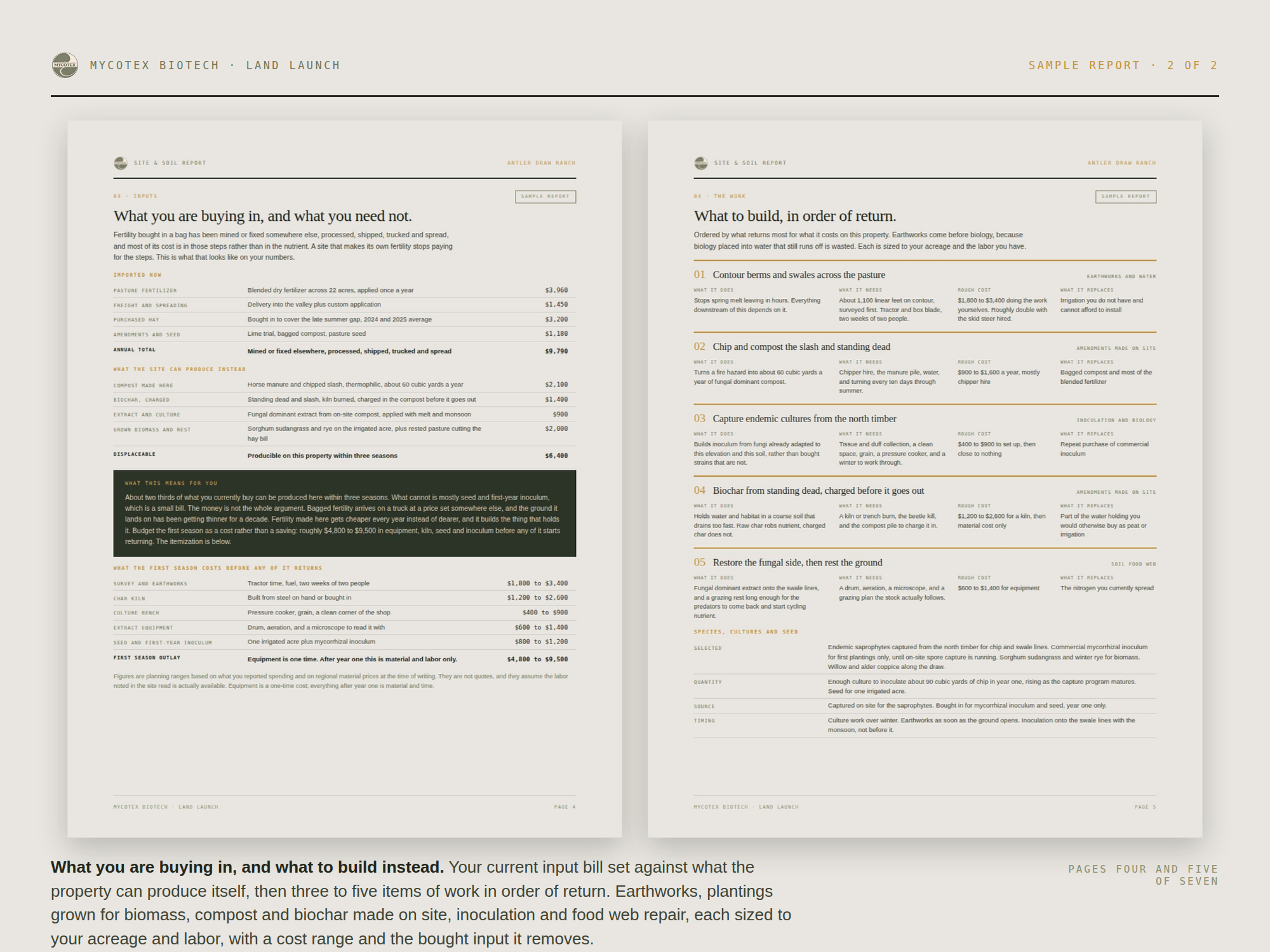MycoTex-Site-Soil-Report-3-sample-pages.png