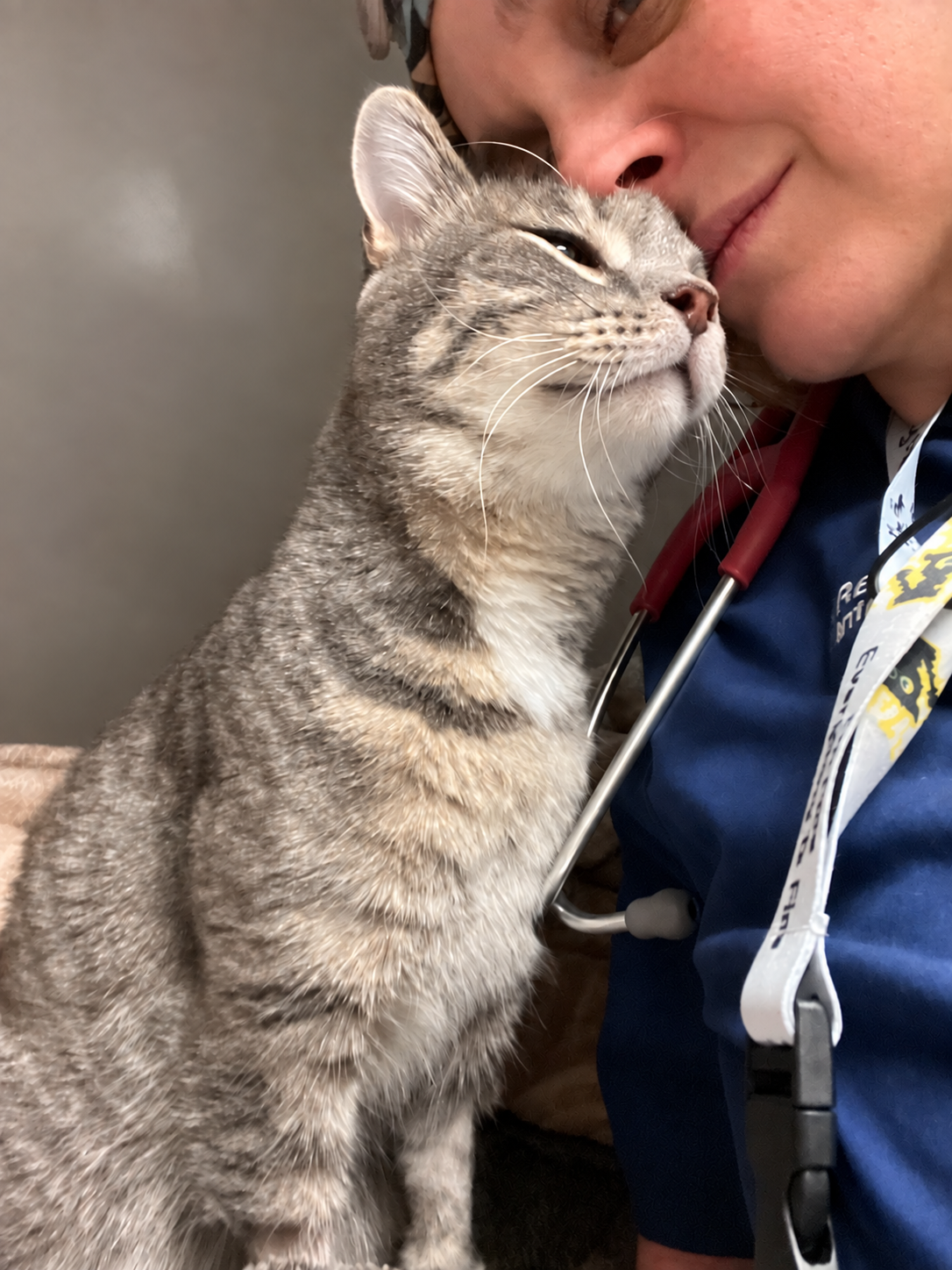 Rachel snuggling a gray tabby cat