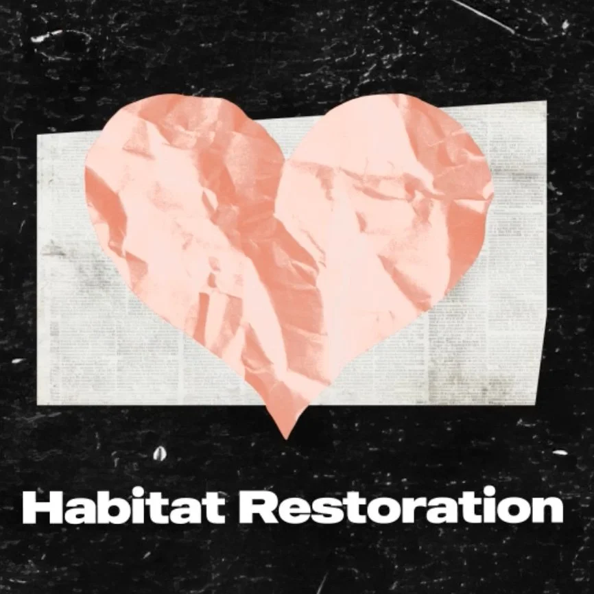 habitat restoration.jpg