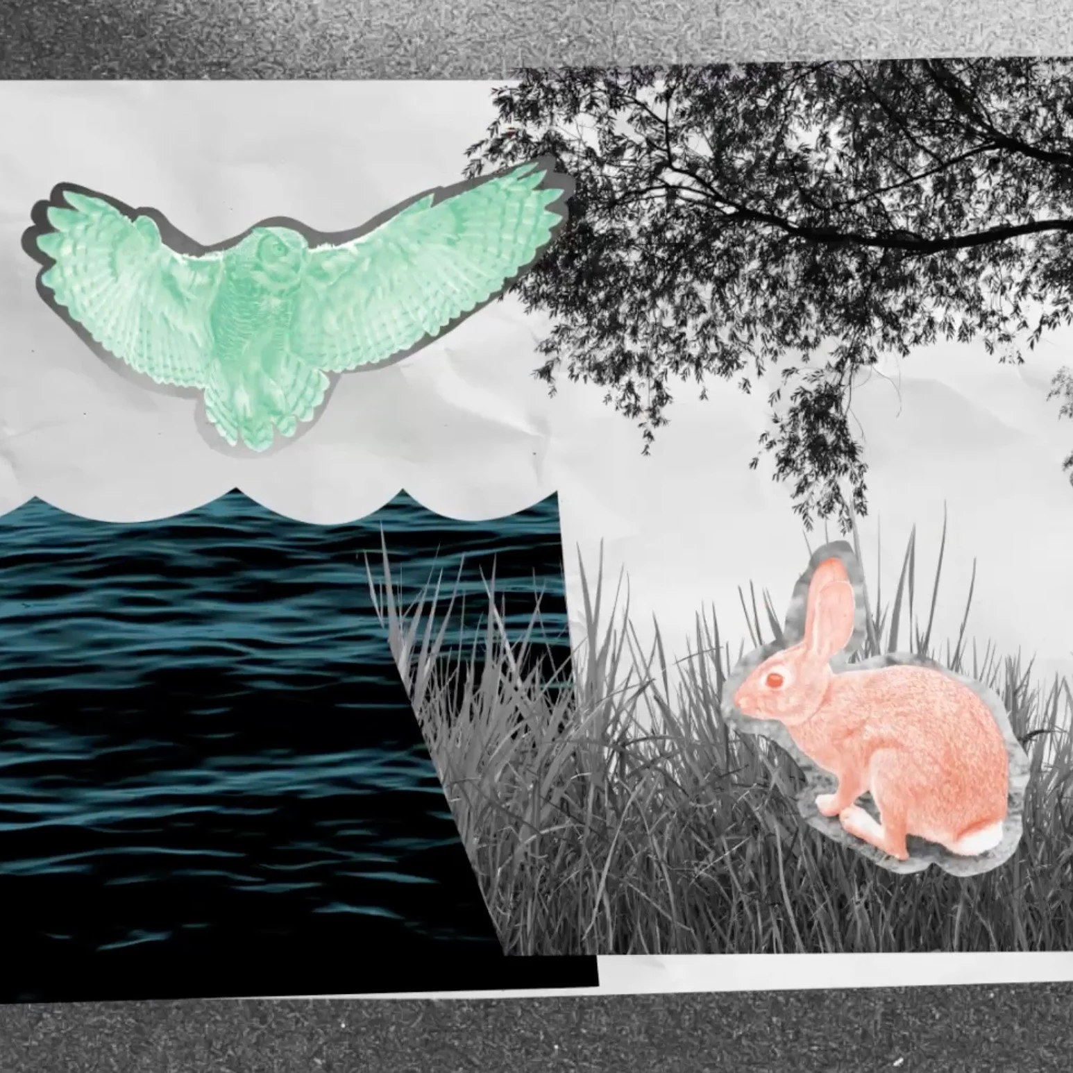 owlandrabbit.jpg