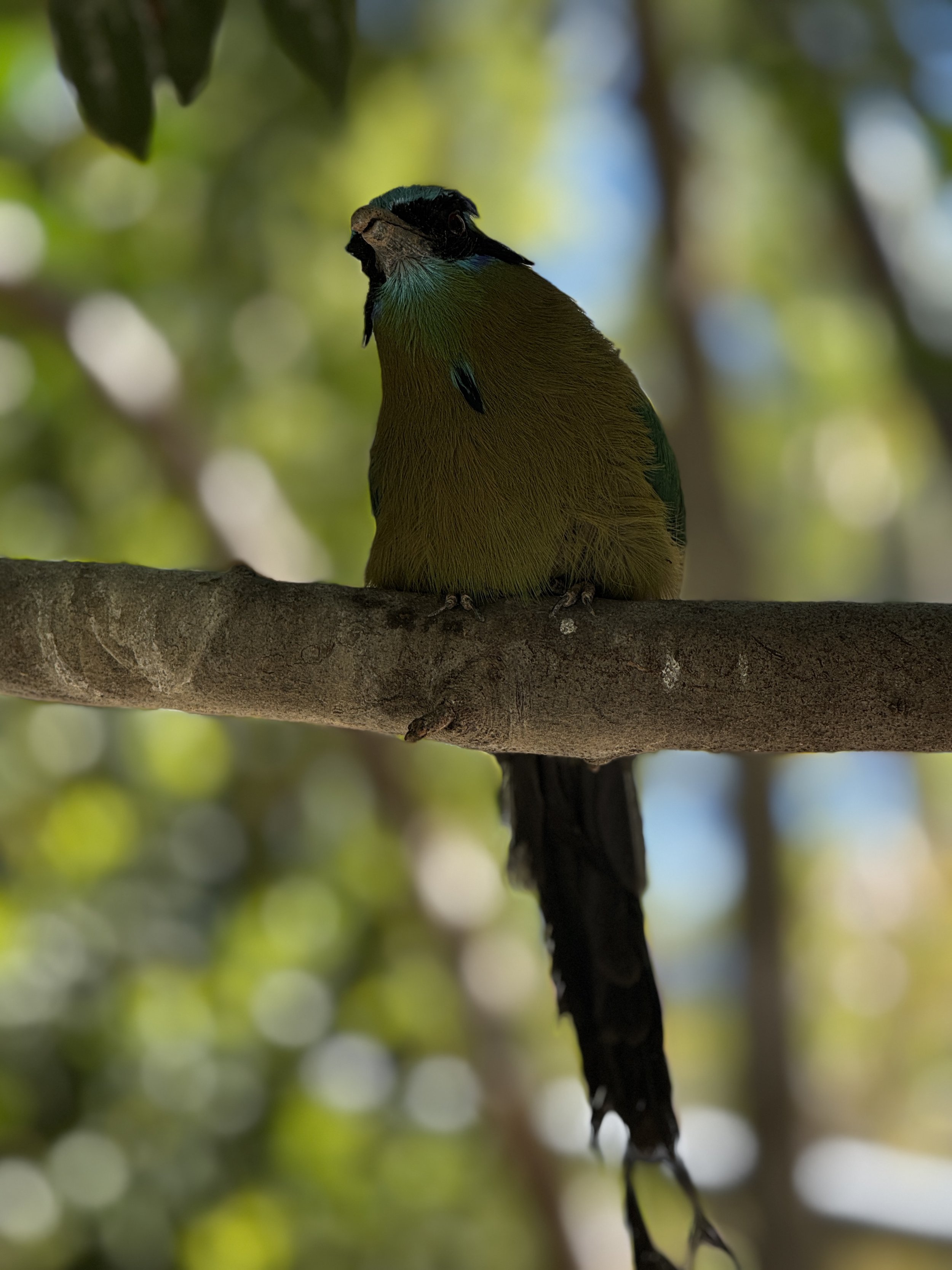 IMG_7279.JPEG