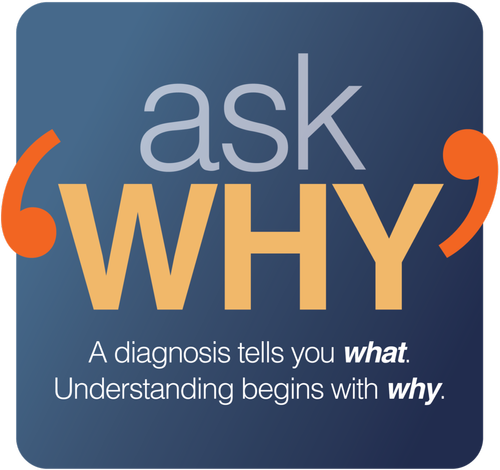 The Why Principle — James Greenblatt, MD