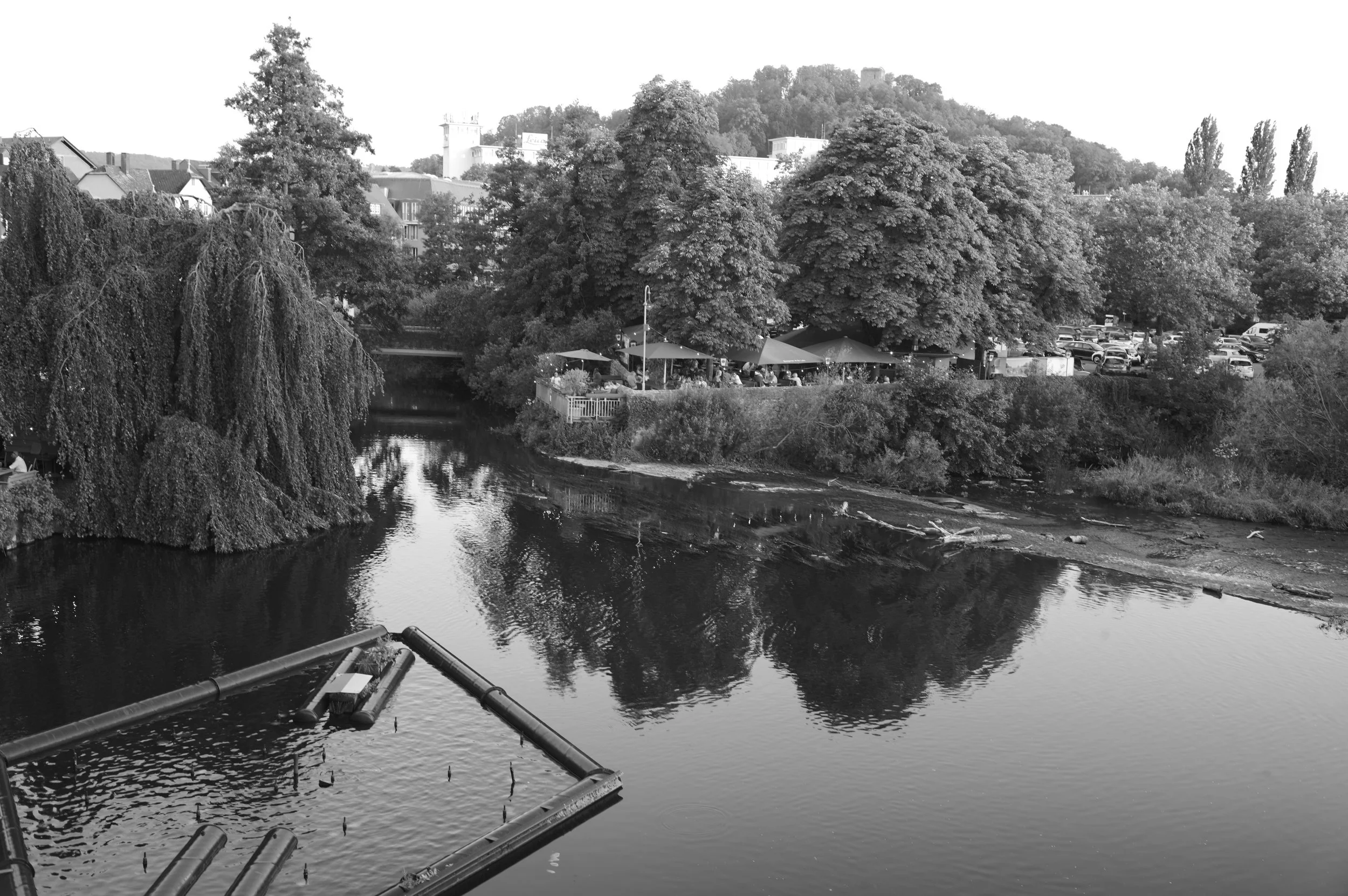 L1000993.JPG