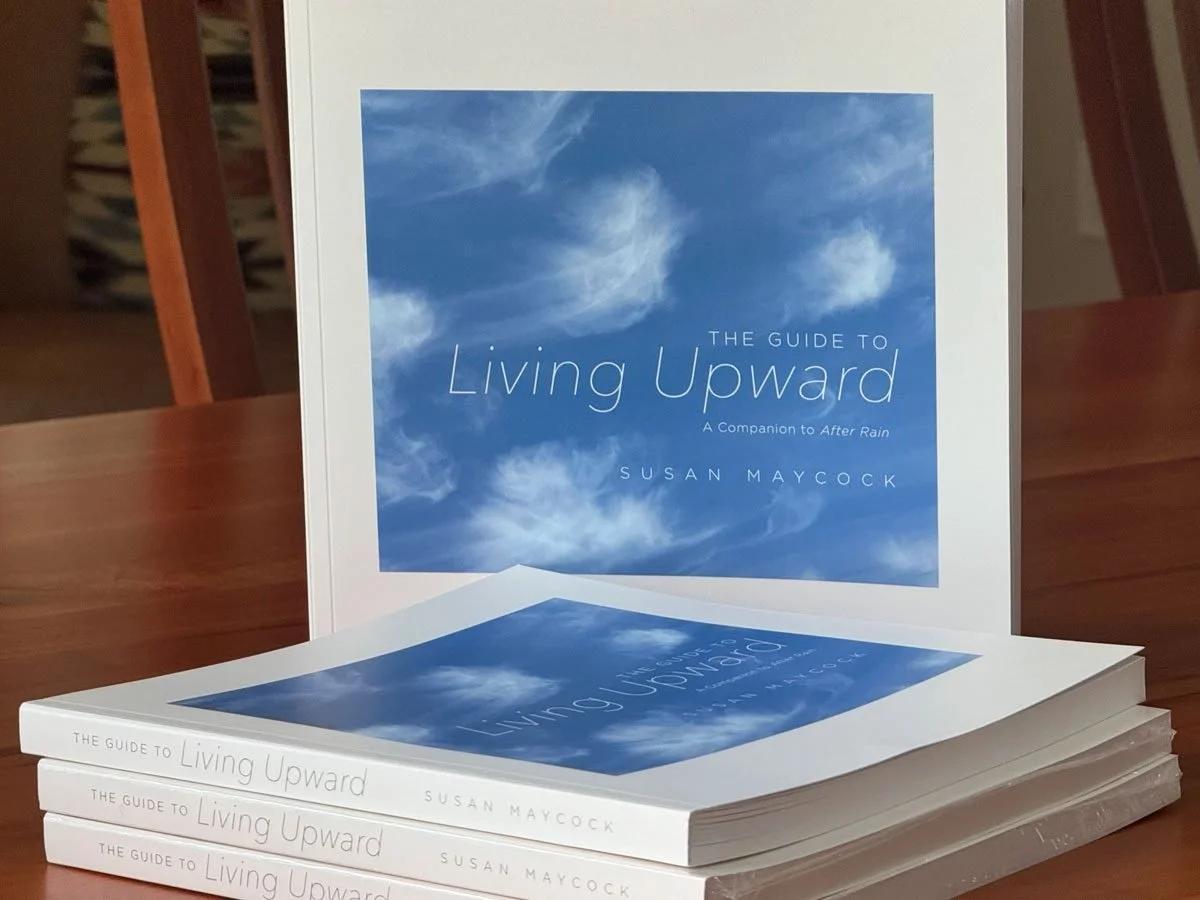 The Guide to Living Upward: A Companion to After Rain