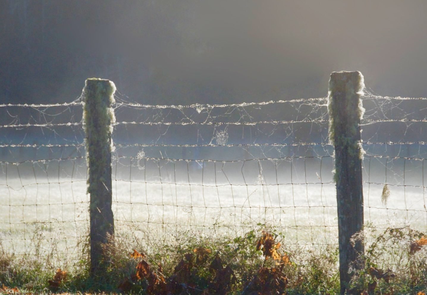 Setting Boundaries