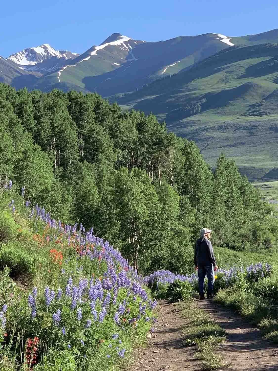 Belonging