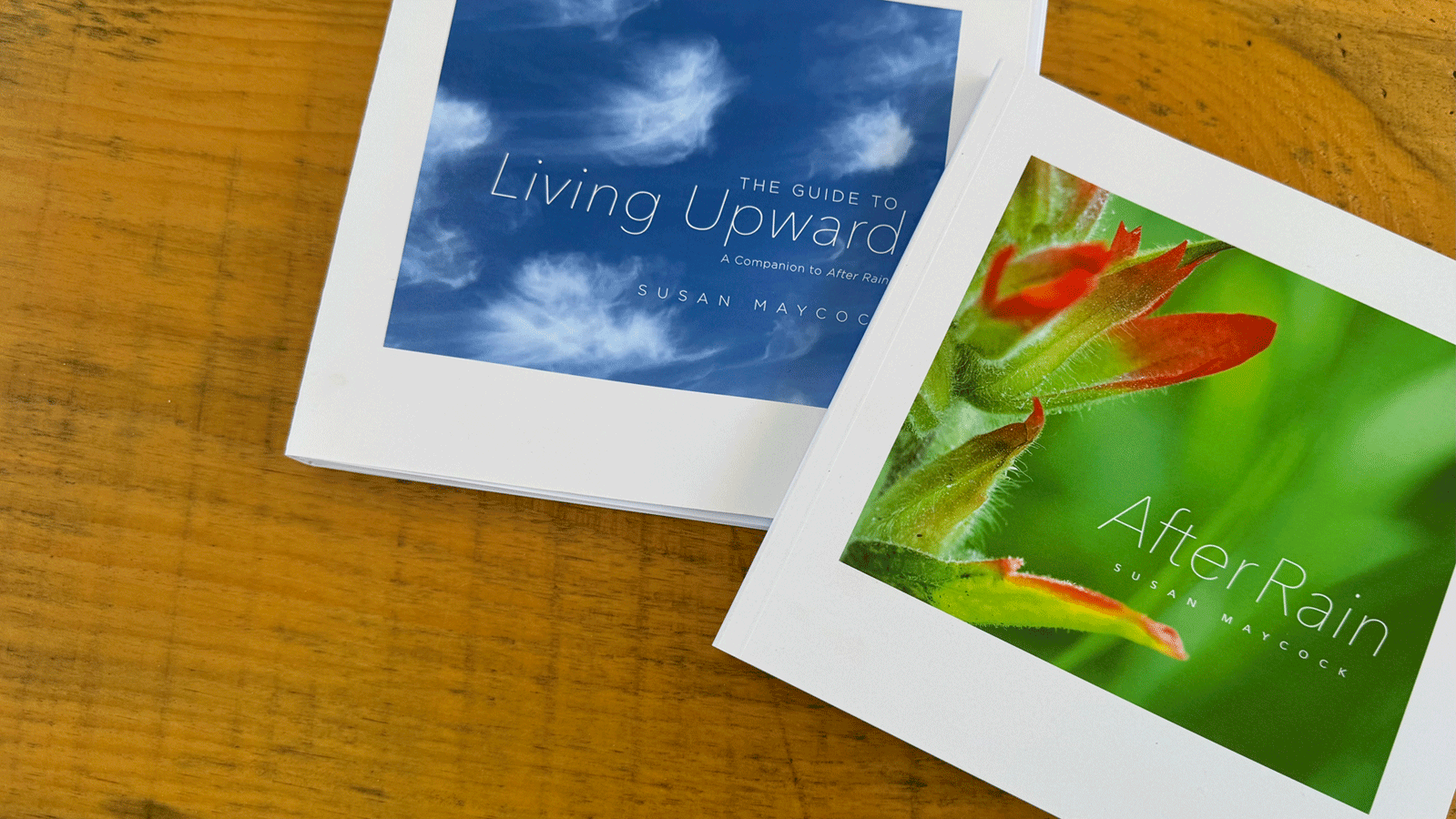 After Rain and The Guide to Living Upward Set