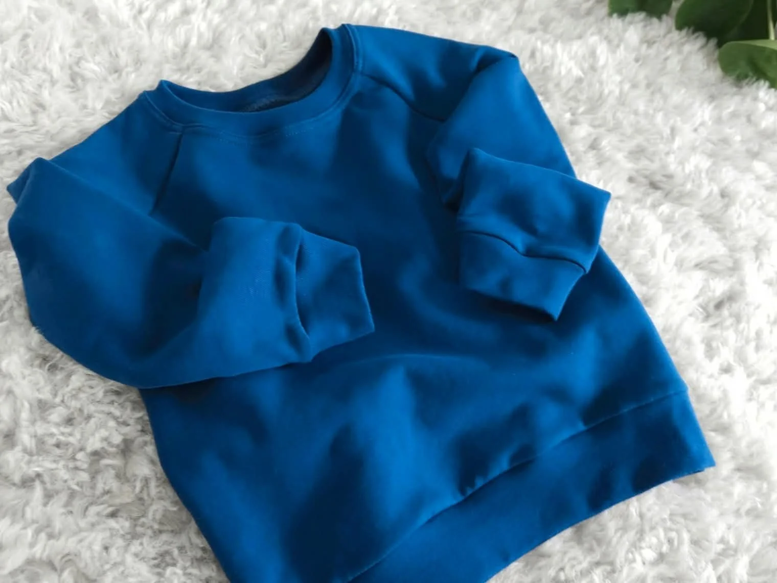Raglan Sweatshirt