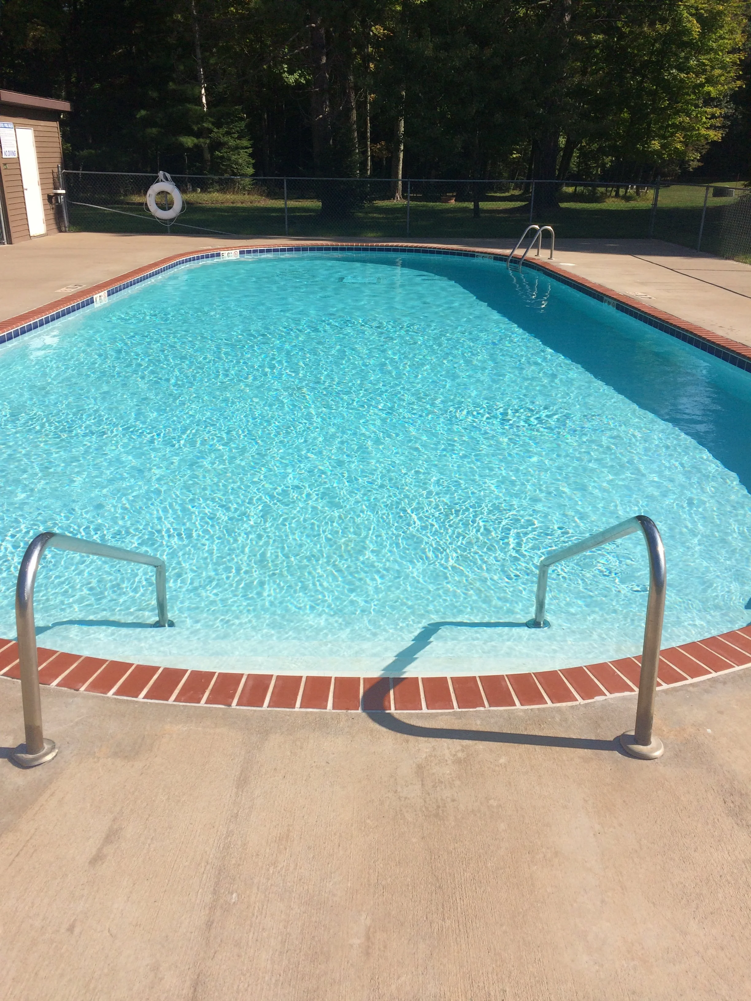 Outdoor swimming pool with blue water, metal handrails, a lifebuoy, brick coping, and wooded surroundings