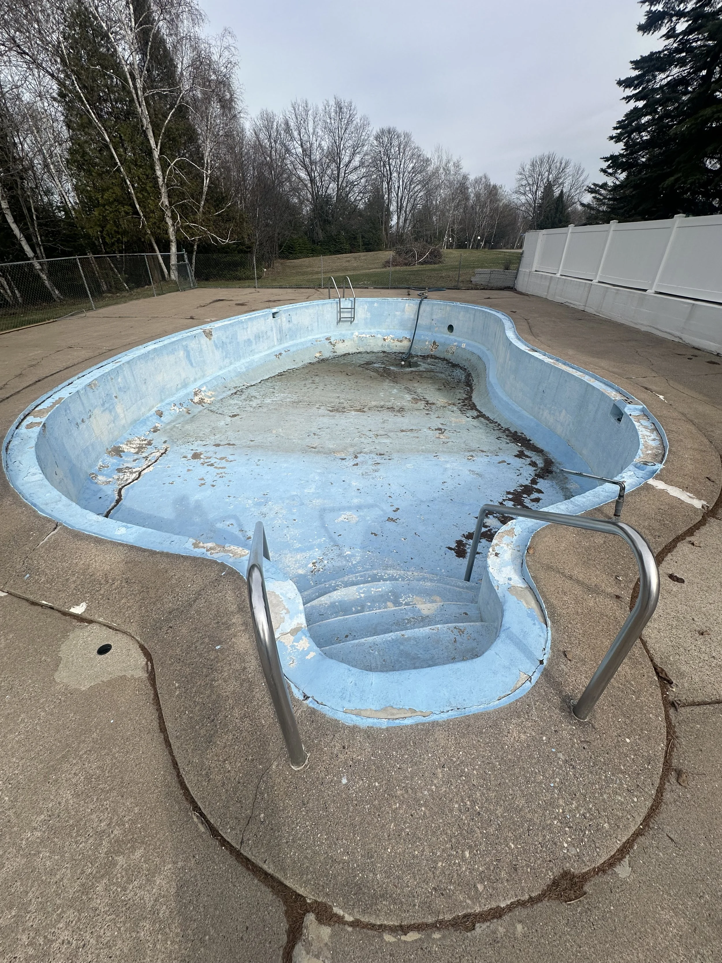 Empty, weathered blue swimming pool with metal ladder, surrounded by a cracked concrete deck and leafless trees.