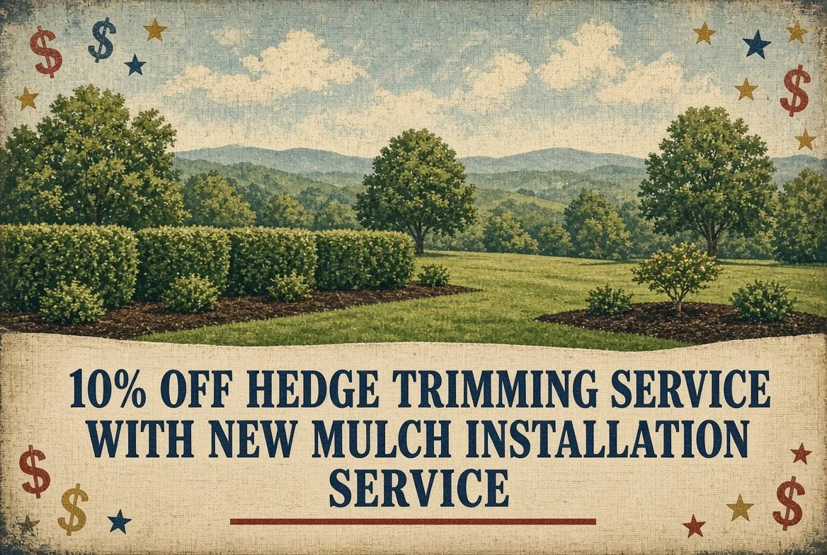 10hedge.jpeg
