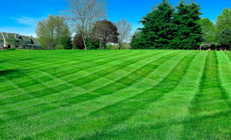 A well-maintained grassy lawn with visible mowing lines, surrounded by trees and houses under a bright blue sky.