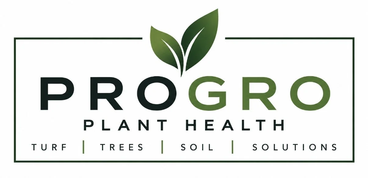 PROGRO Fert &amp; Plant Health