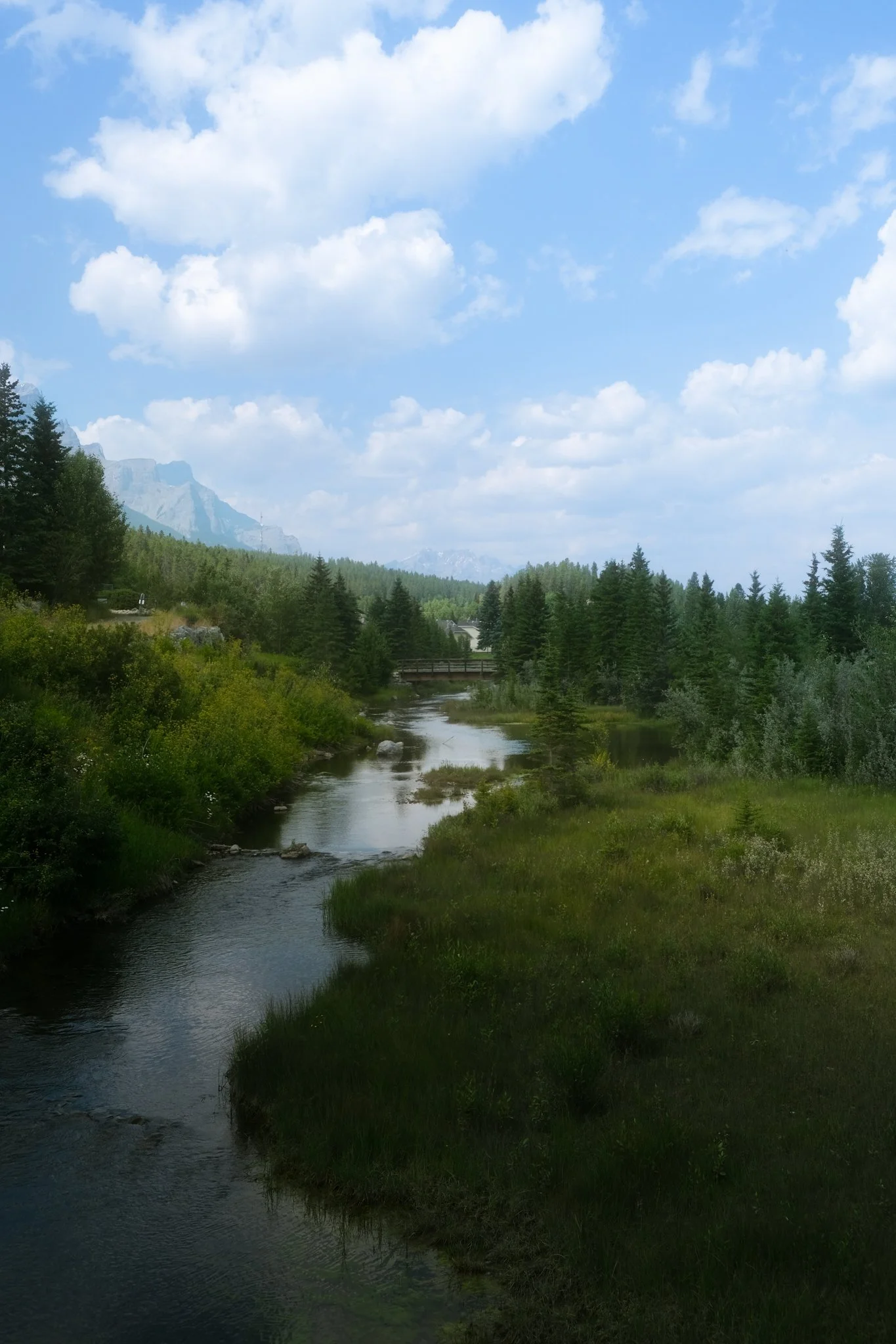 A scenic landscape featuring a winding river flowing through lush green fields and dense forests, with tall mountains in the background under a partly cloudy sky.